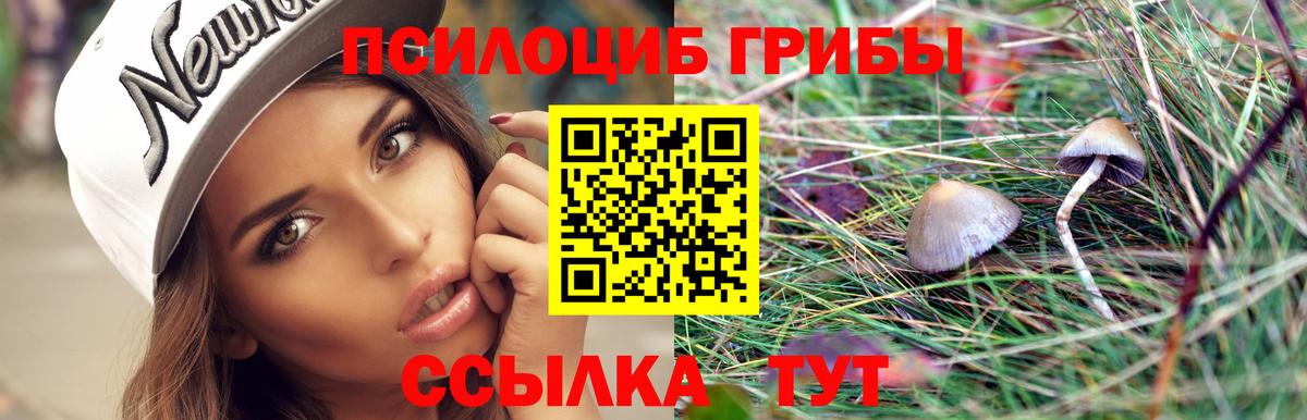 Псилоцибиновые грибы Cubensis Волжский